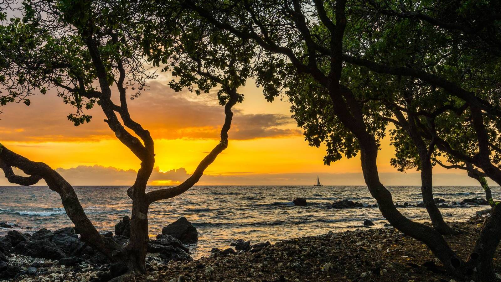 Kohala Coast Resort Condo Market - Low Inventory Returns - Hawaii Real Estate Market & Trends - Vimarsana News