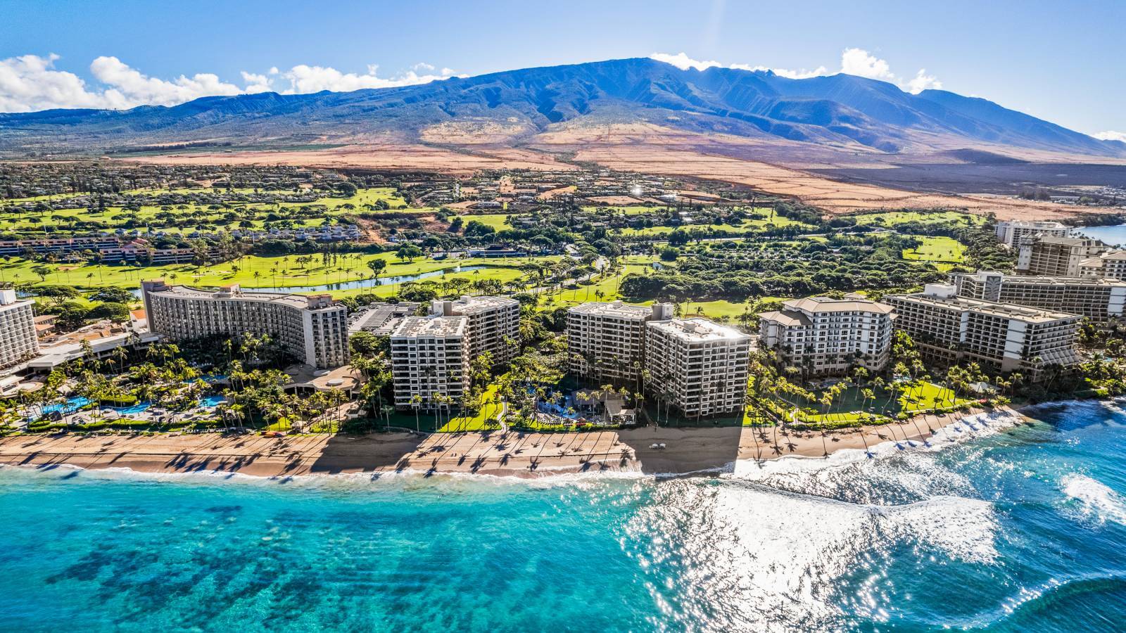 How You Can Make a Difference in Lahaina - Hawaii Real Estate Market ...