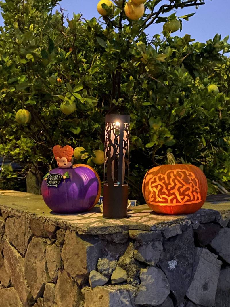 two halloween pumpkins sit on a rock wall
