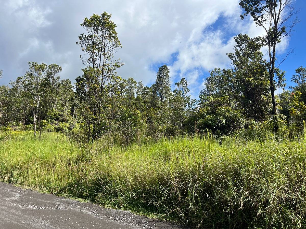 3-Acre Parcel in Fern Forest Vacation Estates - Hawaii Real Estate ...