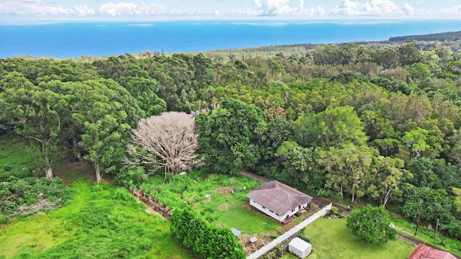 Plantation Home on the Hamakua Coast Hawaii Real Estate Market