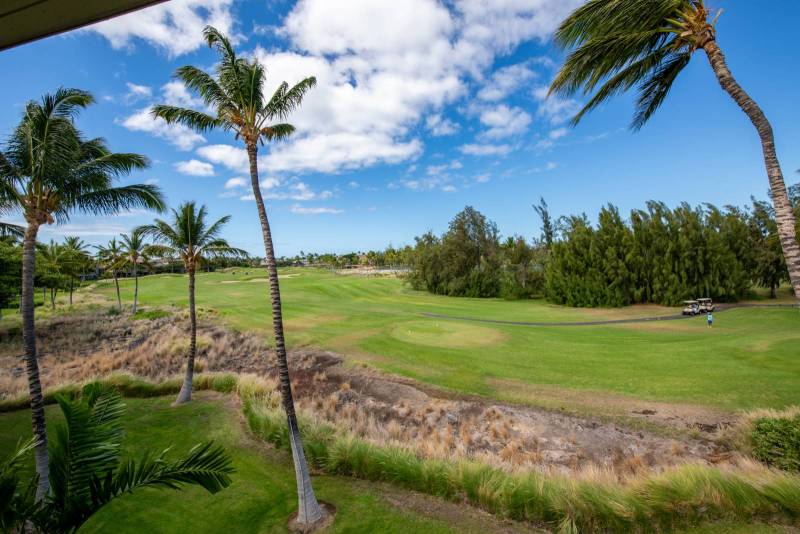 green grass and palm trees at big island hawaii golf course