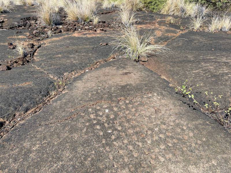grid pattern of indentations in hawaiian lava rock