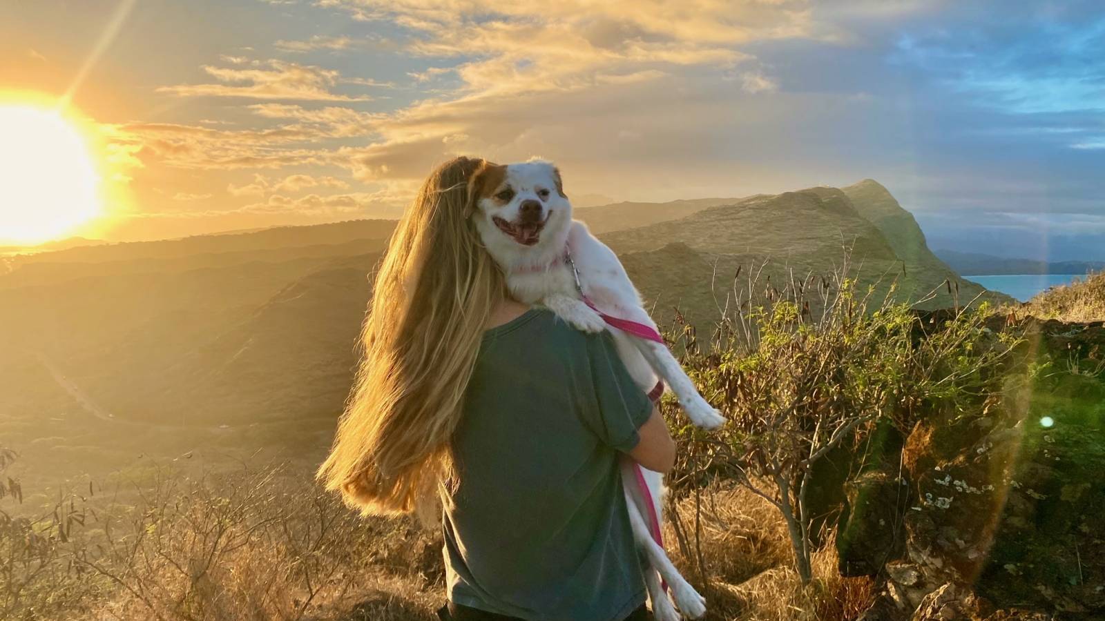 Great Places To Walk Your Furry Friend in Hawaii Kai! - Hawaii Real Estate Market & Trends - Vimarsana News