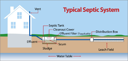 diagram of typical septic system