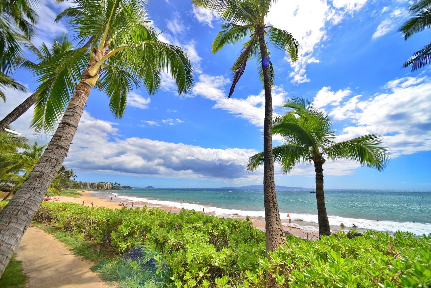 A Tropical Delight Unit at Maui Vista - Hawaii Real Estate Market & Trends - Vimarsana News
