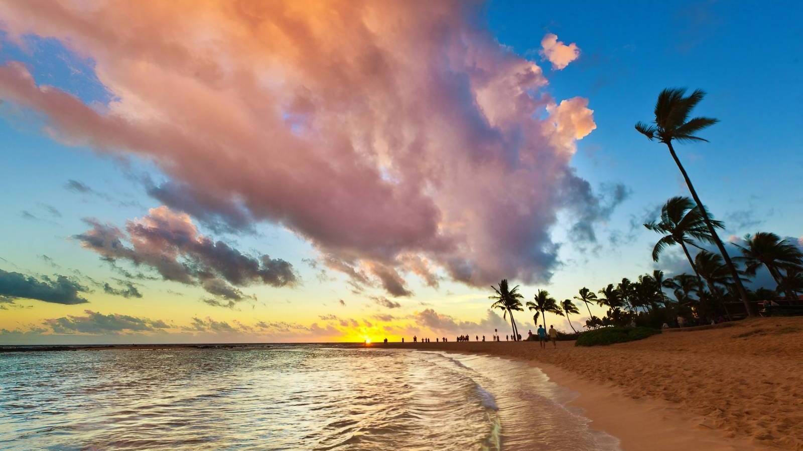 Buying a Condominium on Kauai, Hawaii Market Statistics for November 2023 vs 2022 Hawaii