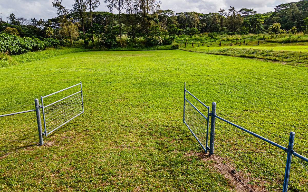 Build Your Dream Home on Ola Hou Hawaii Real Estate Market & Trends