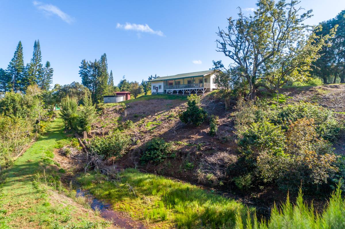 Peace and Quiet of Paauilo Mauka Hawaii Real Estate Market & Trends