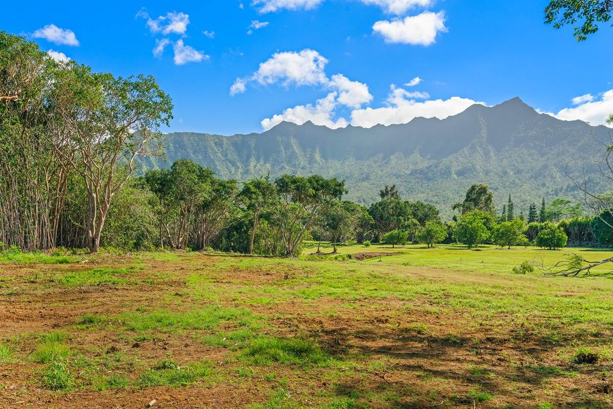 10Acre Vacant Lot With Stream Hawaii Real Estate Market & Trends