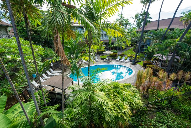 pool surrounded by tropical plants and trees in hawaii resort