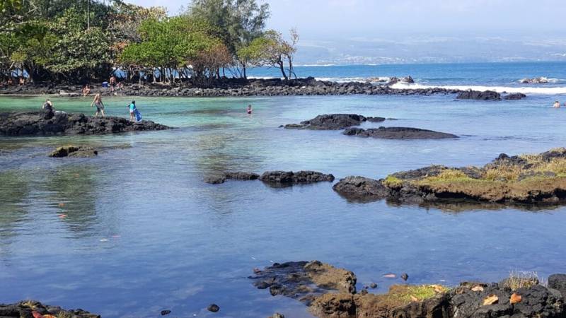 tide pools at beach in hilo hawaii island