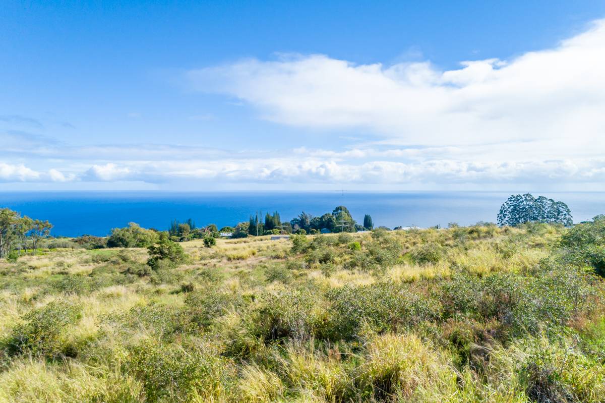 Pasture Land on the Hamakua Coast - Hawaii Real Estate Market & Trends ...