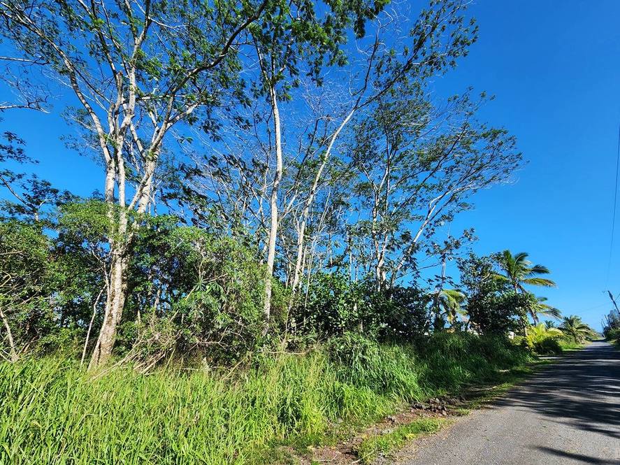 6th Avenue 1 Acre in Keaau Hawaii Real Estate Market & Trends Hawaii Life
