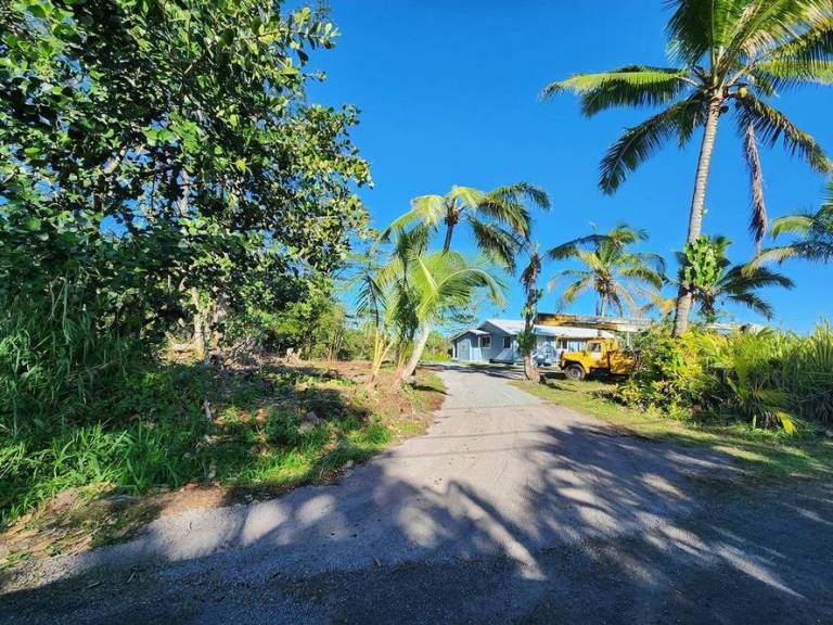 6th Avenue 1 Acre in Keaau Hawaii Real Estate Market & Trends