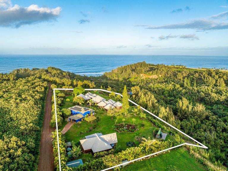 A Magnificent Estate in Kilauea, Kauai - Hawaii Real Estate Market ...
