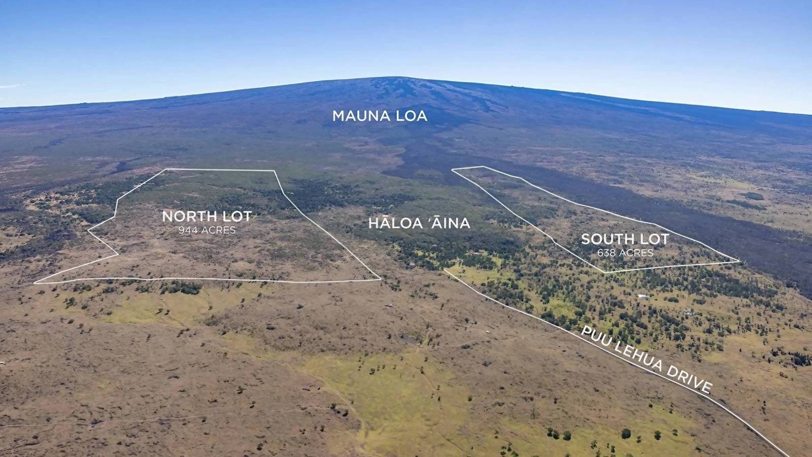 Large Legacy Land Property Make Your Home Within a Sandalwood Forest