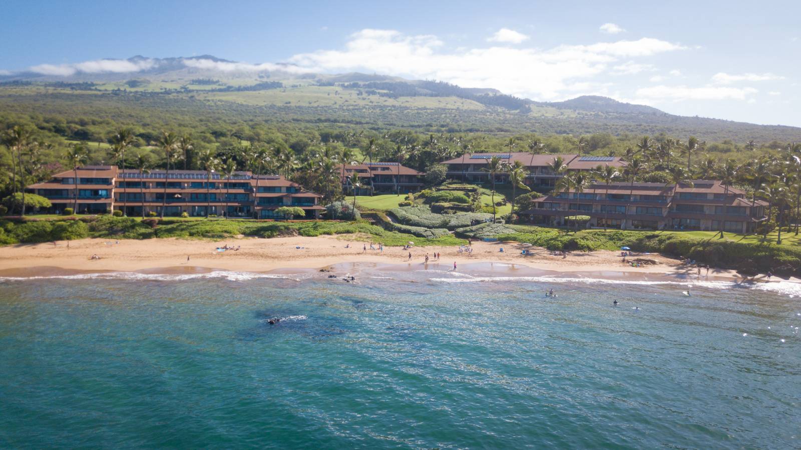 Makena Surf Resort Oceanfront Condos, Makena, Maui Condos For Sale