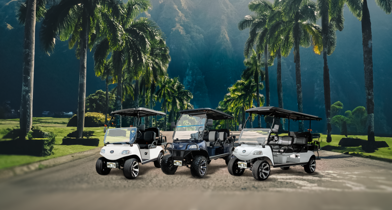 golf carts in front on mountain on maui