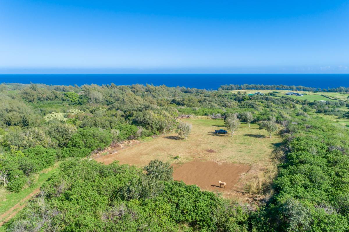 North Kohala Land Lot With Ocean View Hawaii Real Estate Market & Trends Hawaii Life