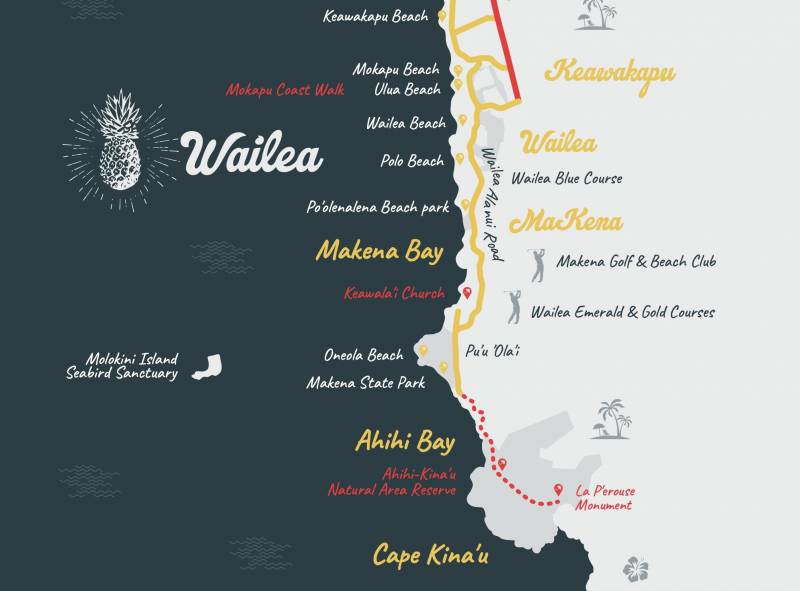 map of wailea maui