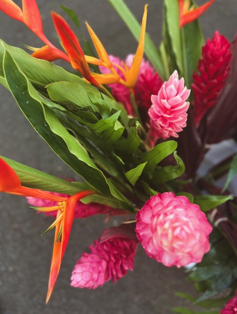 fresh tropical flowers from kauai farmers market