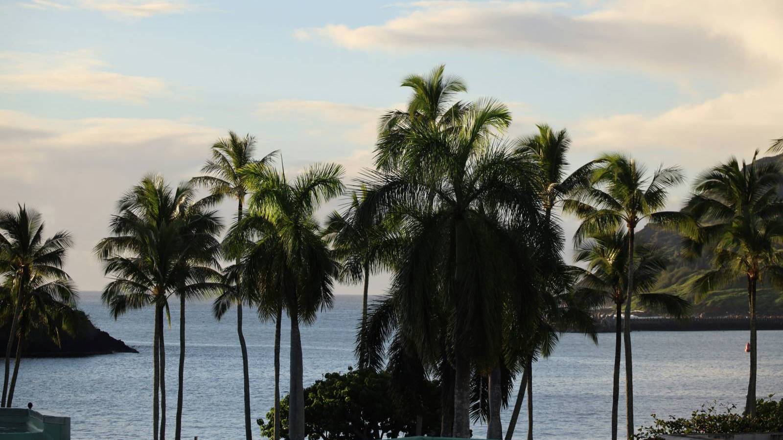 Kauai Hawaii Real Estate Home Sales February 2024 Hawaii Real Estate