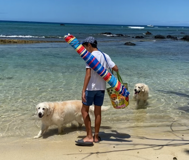 Moving to Hawaii with Your Dog