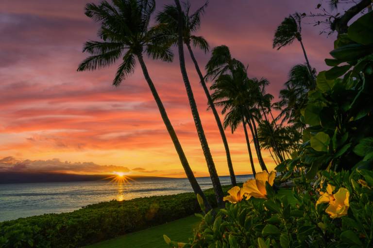 Hawaii Life: How Do You Define Success? - Hawaii Real Estate Market ...