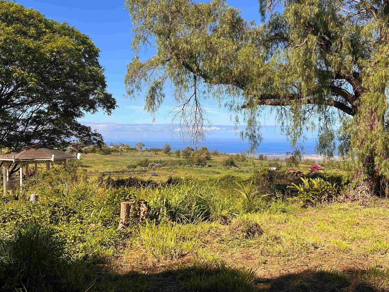 One of Kula's Favorite Iconic Properties for Sale - Hawaii Real Estate ...