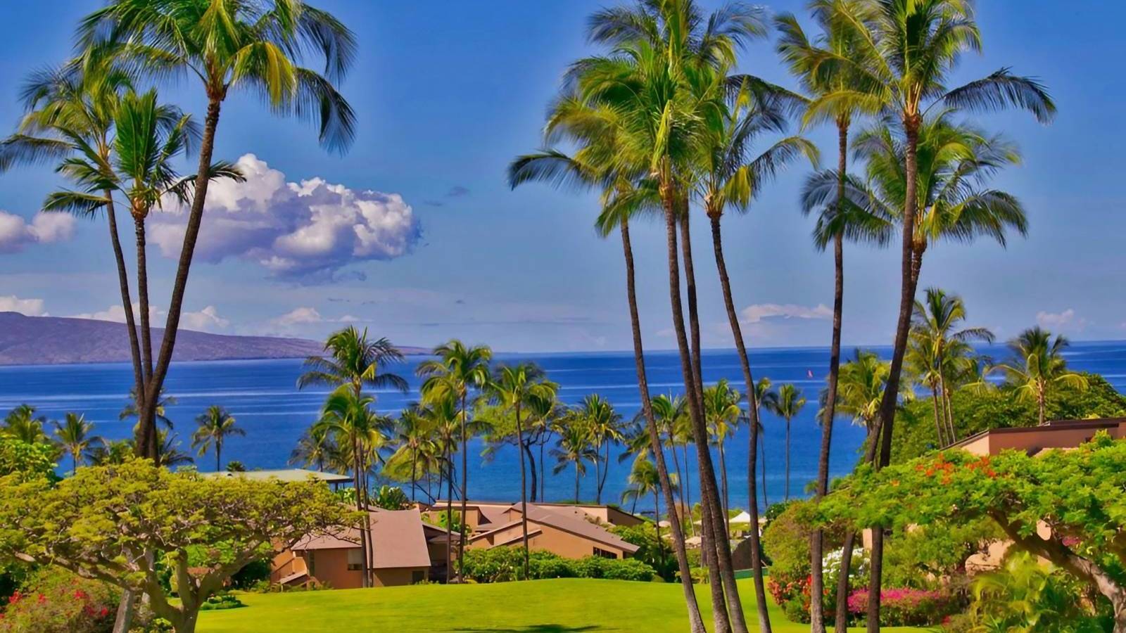 Building a Sustainable Condo Today Involves Designing for the Future - Luxury Condominiums With Green Building Features