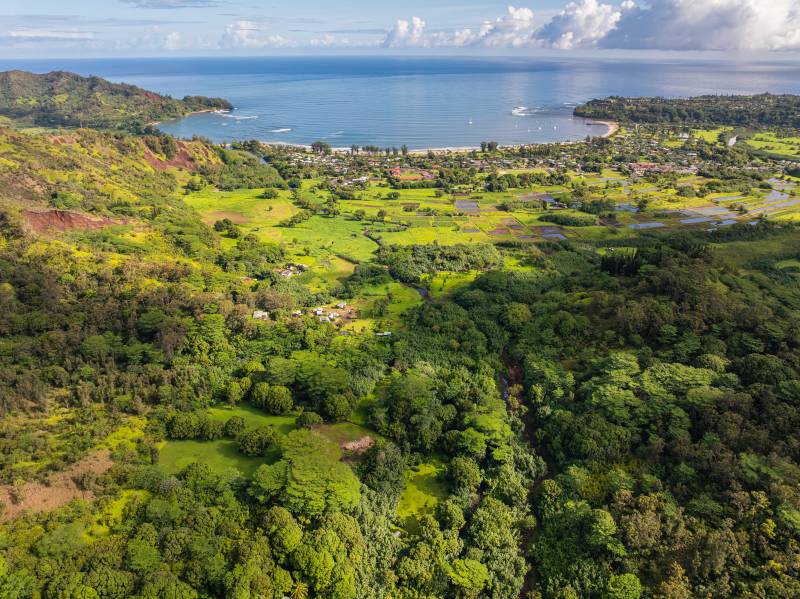 land for sale in hanalei kauai