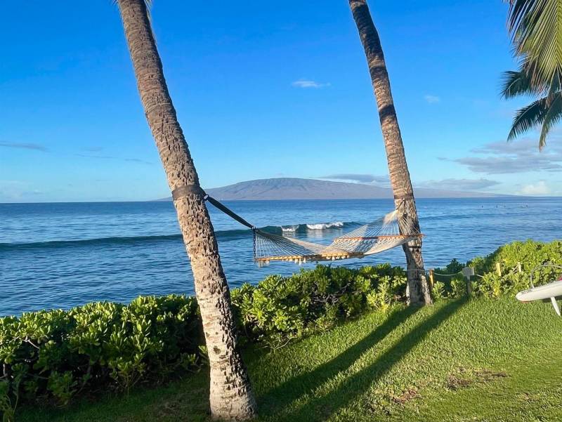 hammock between two palm trees oceanfront maui