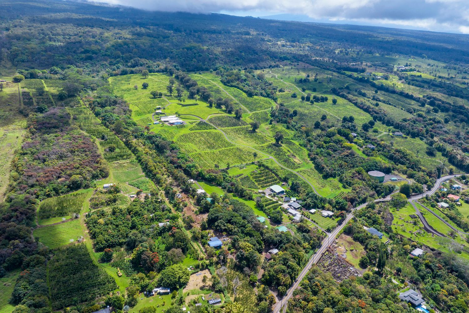 The Coffee Grounds 85.51Acre Coffee Farm in Holualoa Hawaii Real