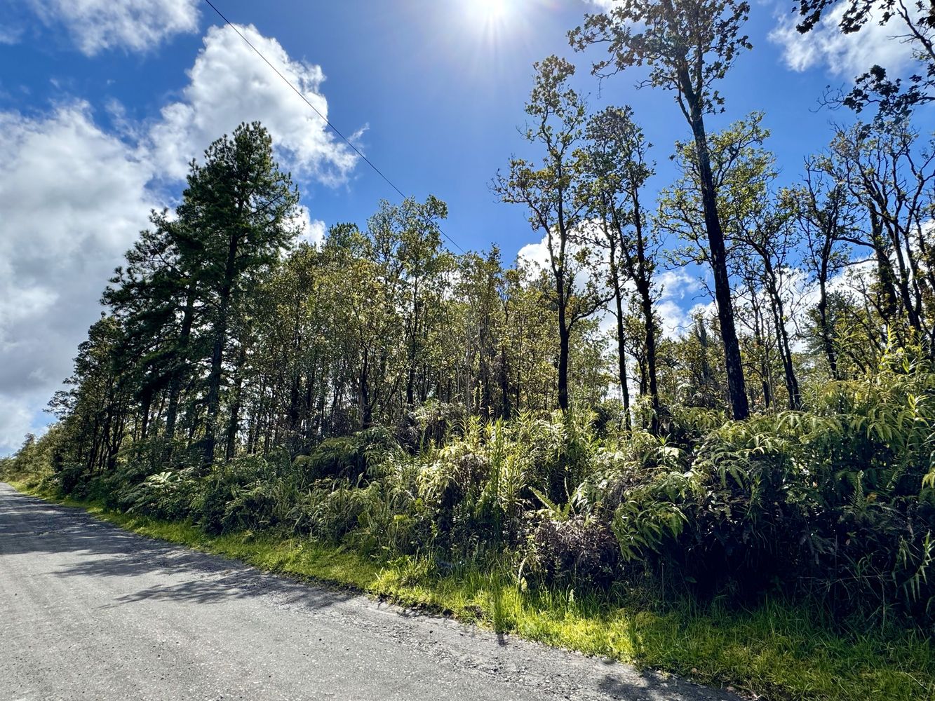 Beautiful 3Acre Wooded Lot in Fern Forest Vacation Estates Hawaii