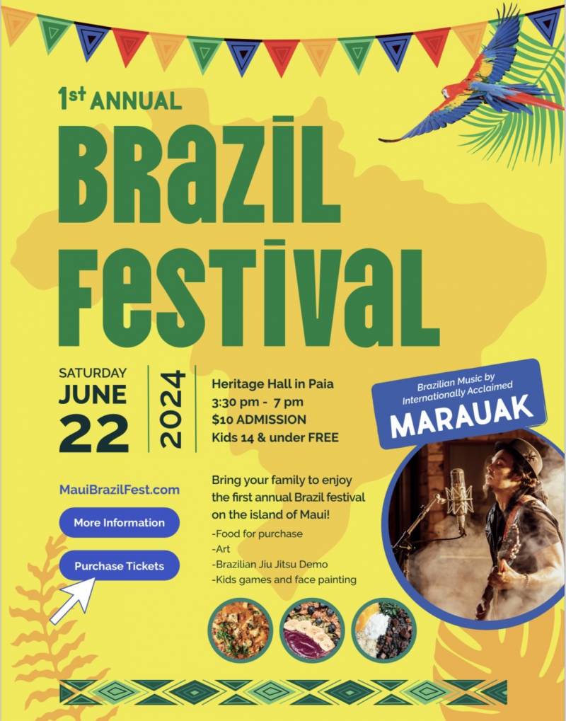 brazil festival