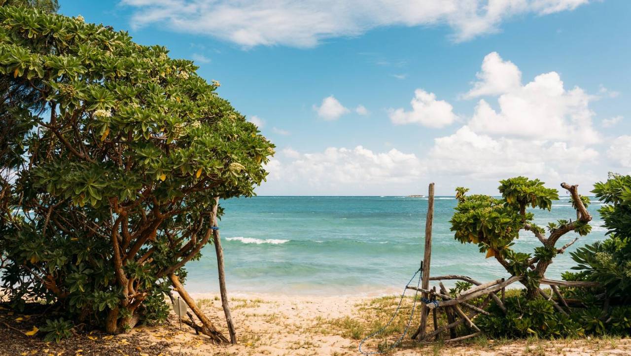 Finding the Best Real Estate Agent on Oahu A Comprehensive Guide