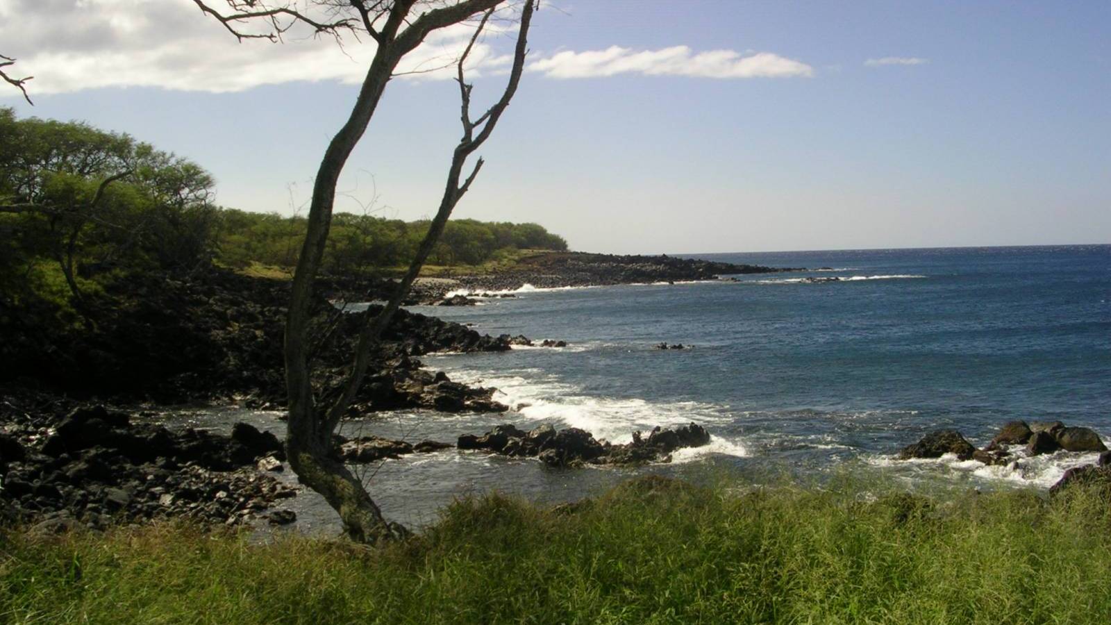 Puakea Bay Ranch - Strong Sales In 2024 - Hawaii Real Estate Market 