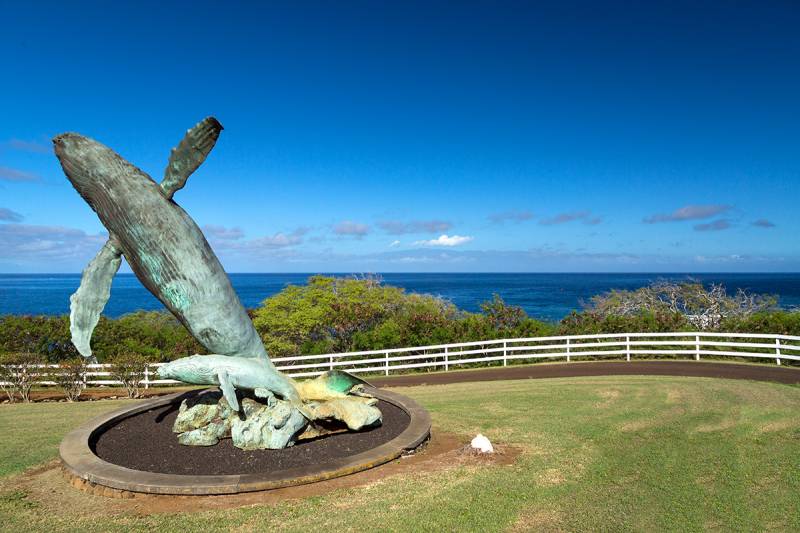 whale statue at puakea bay ranch on big island hawai