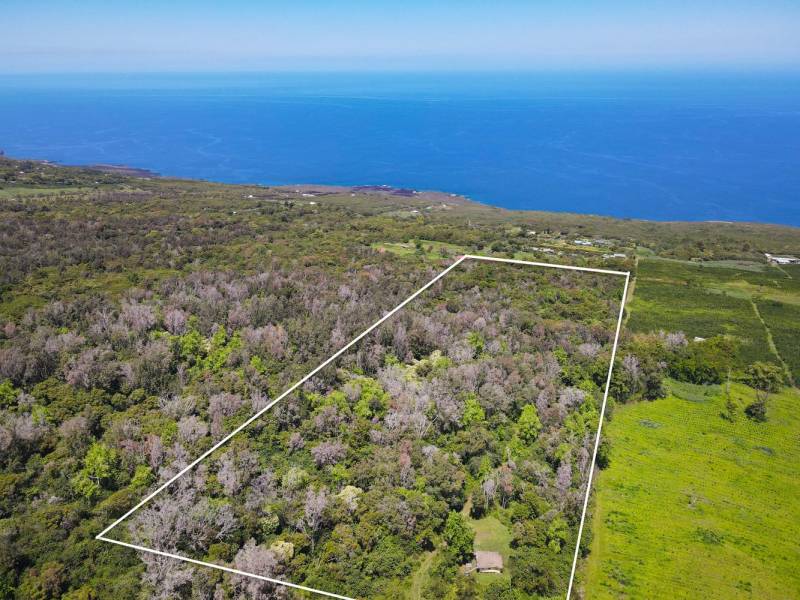 land for sale on big island hawaii