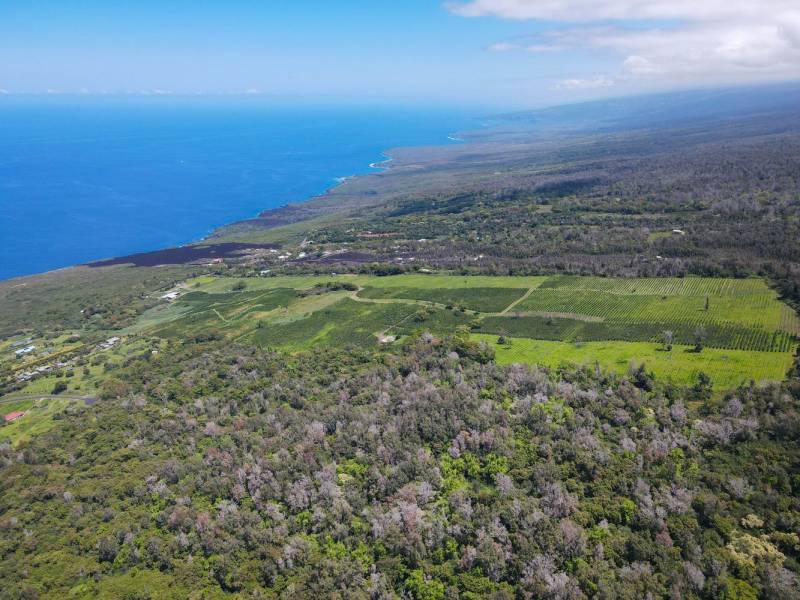 kona big island land for sael