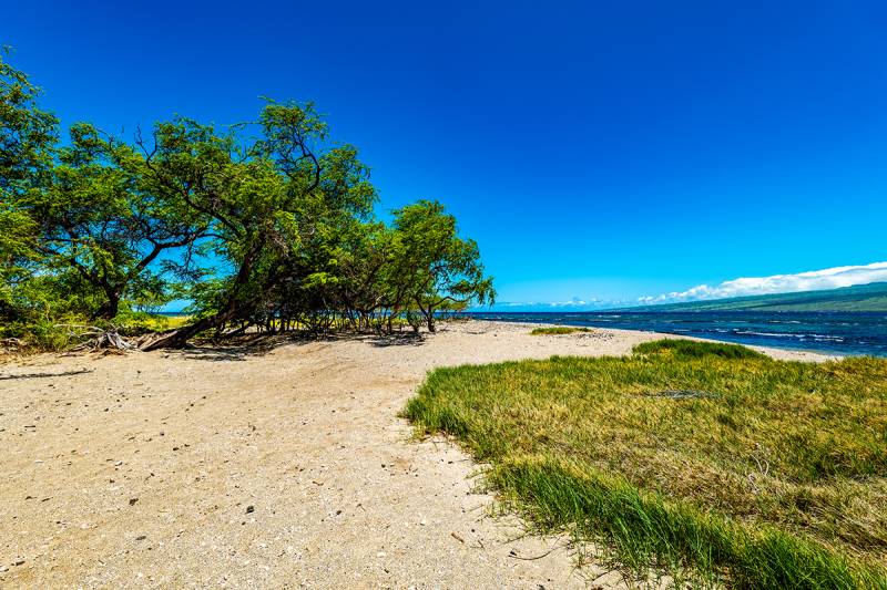 Puako beach