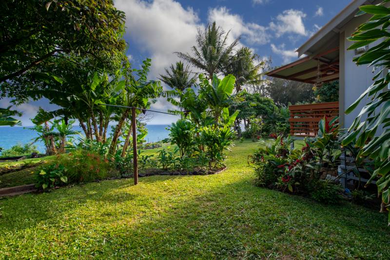 tropical plants and ocean view from yard at hamakua coast house for sale on big island hawaii