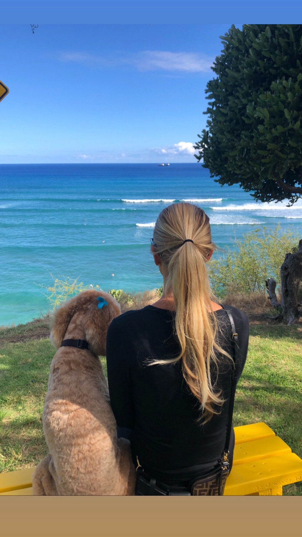 woman and dog sitting looking at the ocean