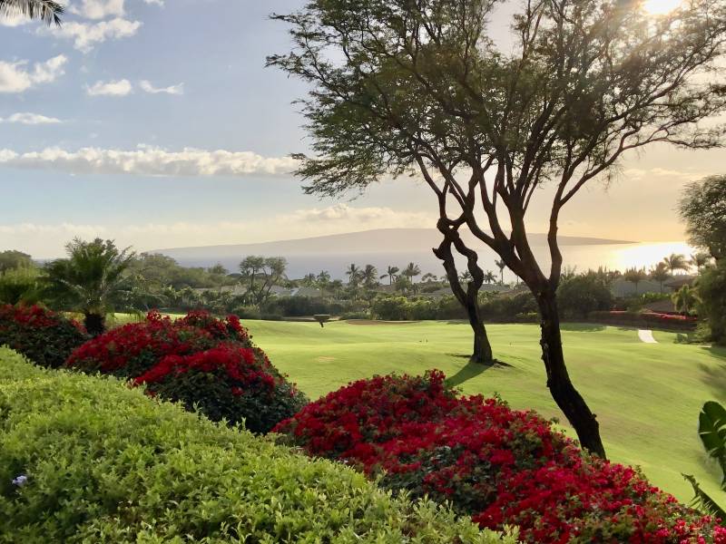 Golfing Wailea