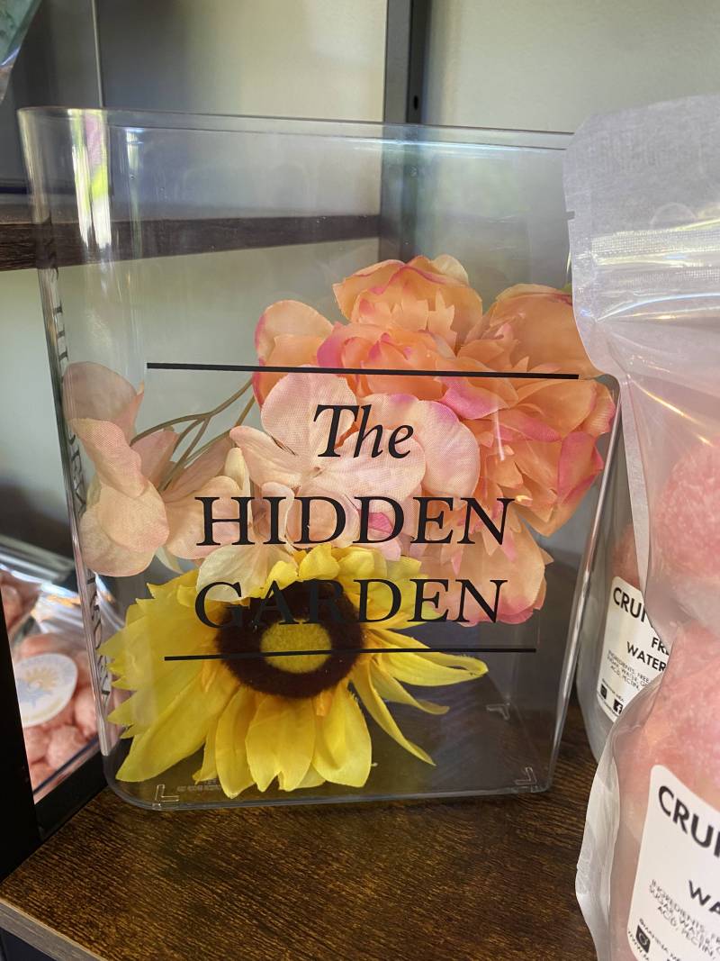 the hidden garden