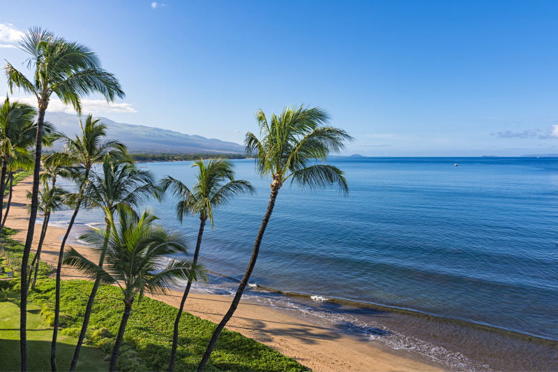 maui sandy beach and blue ocean