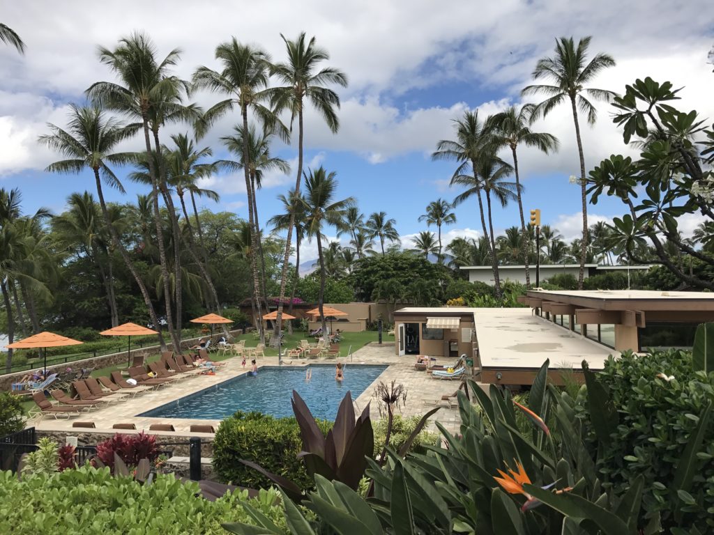 wailea elua pool