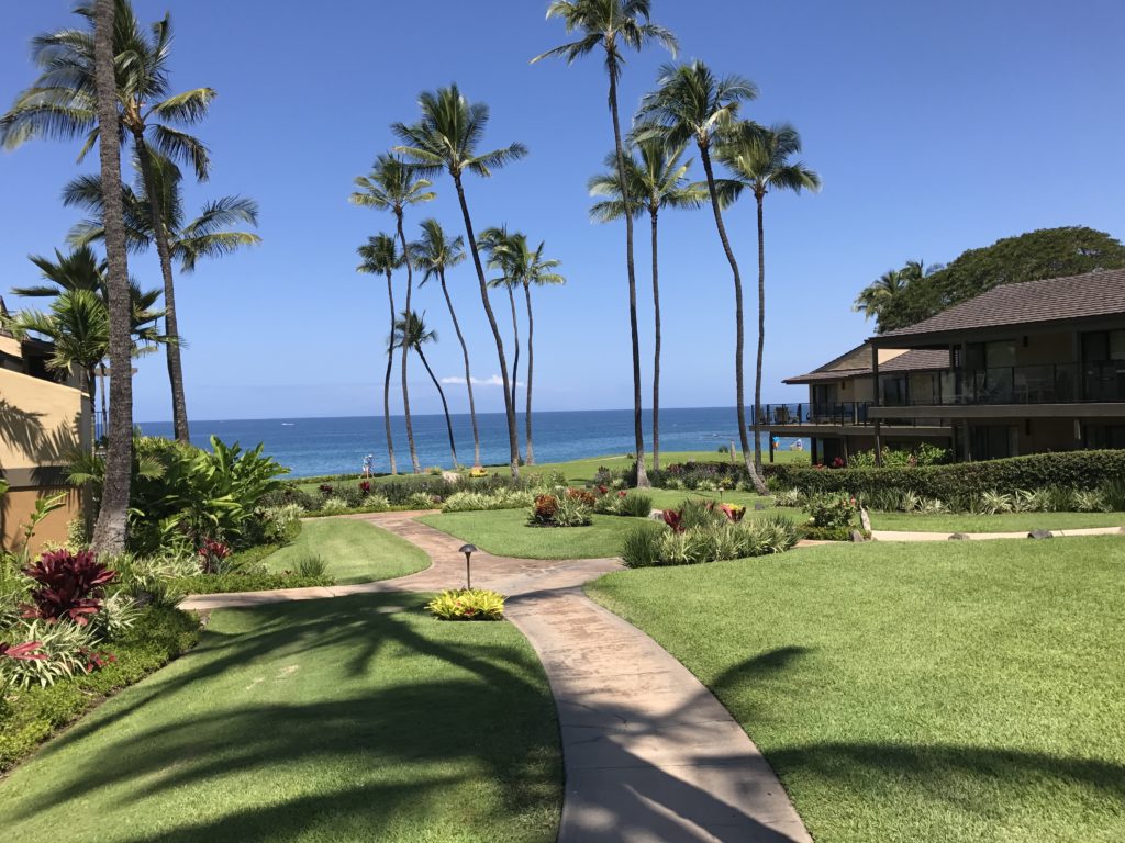 wailea elua walk