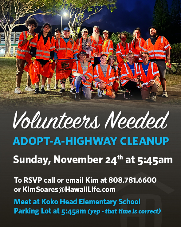 adopt a highway cleanup